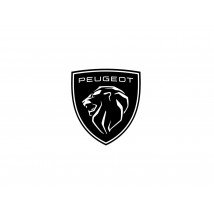 Peugeot automobiliniai kilimėliai internetu už gerą kainą