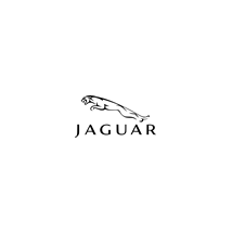 Jaguar automobiliniai kilimėliai internetu už gerą kainą