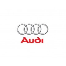 Audi bagažinės kilimėlis internetu už gerą kaina