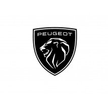 Peugeot bagažinės kilimėlis internetu už gerą kaina