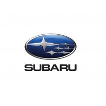 Subaru bagažinės kilimėlis internetu už gerą kaina