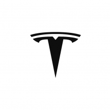 Tesla automobiliniai kilimėliai internetu už gerą kainą